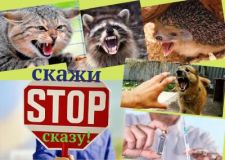 adb5c7e925de1b08c7b602713e07074b M