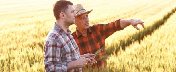 e61f5e4be72909eca8ef024ba6de3fe3